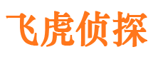 霍邱市私家侦探